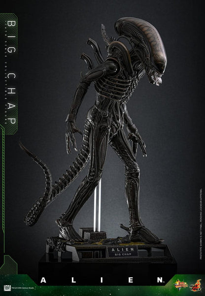 HOT TOYS - Alien Movie Masterpiece Action Figure 1/6 Big Chap