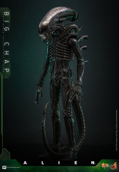 HOT TOYS - Alien Movie Masterpiece Action Figure 1/6 Big Chap
