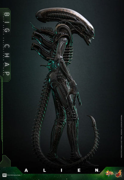HOT TOYS - Alien Movie Masterpiece Action Figure 1/6 Big Chap