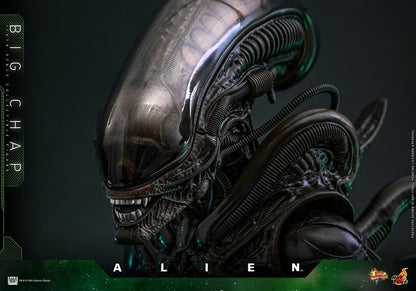 HOT TOYS - Alien Movie Masterpiece Action Figure 1/6 Big Chap