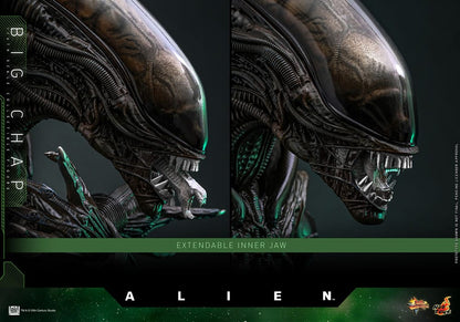 HOT TOYS - Alien Movie Masterpiece Action Figure 1/6 Big Chap