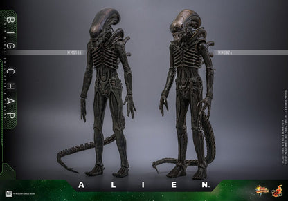HOT TOYS - Alien Movie Masterpiece Action Figure 1/6 Big Chap