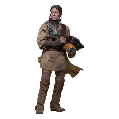 HOT TOYS - Star Wars Episode VI Movie Masterpiece Action Doll 1/6 Leia Organa (Boushh Disguise)