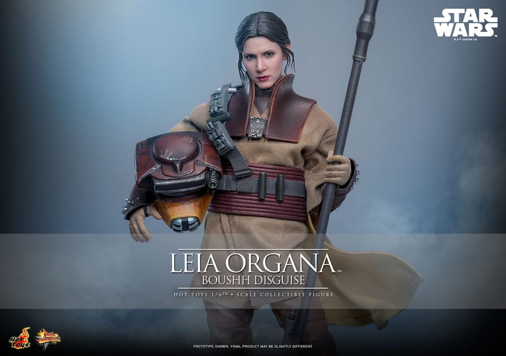HOT TOYS - Star Wars Episode VI Movie Masterpiece Action Doll 1/6 Leia Organa (Boushh Disguise)