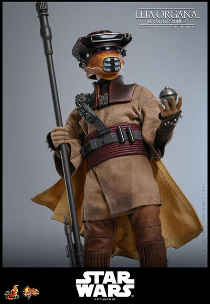 HOT TOYS - Star Wars Episode VI Movie Masterpiece Action Doll 1/6 Leia Organa (Boushh Disguise)