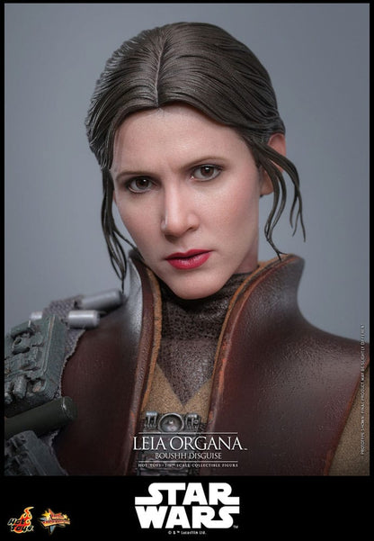 HOT TOYS - Star Wars Episode VI Movie Masterpiece Action Doll 1/6 Leia Organa (Boushh Disguise)