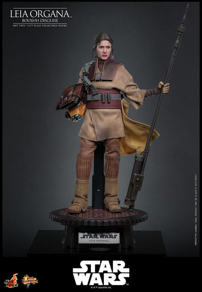 HOT TOYS - Star Wars Episode VI Movie Masterpiece Action Doll 1/6 Leia Organa (Boushh Disguise)