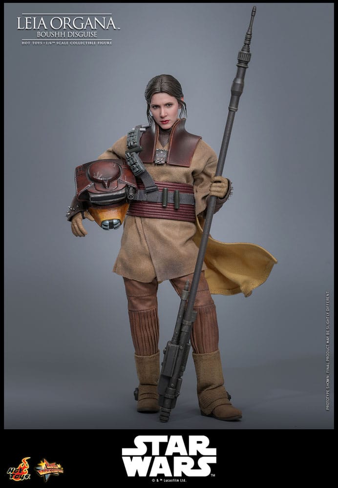 HOT TOYS - Star Wars Episode VI Movie Masterpiece Action Doll 1/6 Leia Organa (Boushh Disguise)