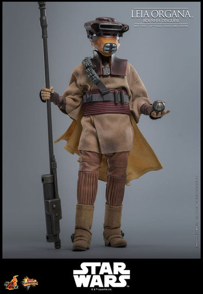 HOT TOYS - Star Wars Episode VI Movie Masterpiece Action Doll 1/6 Leia Organa (Boushh Disguise)