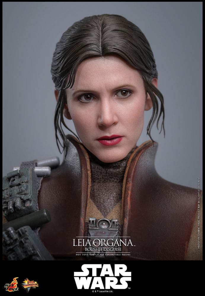 HOT TOYS - Star Wars Episode VI Movie Masterpiece Action Doll 1/6 Leia Organa (Boushh Disguise)