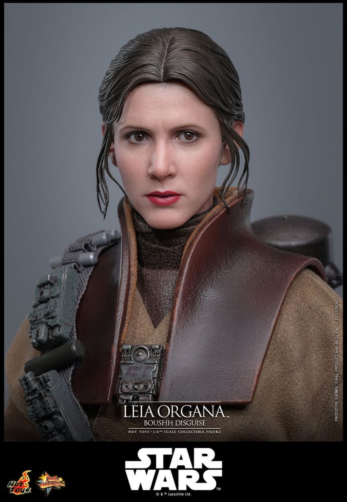 HOT TOYS - Star Wars Episode VI Movie Masterpiece Action Doll 1/6 Leia Organa (Boushh Disguise)