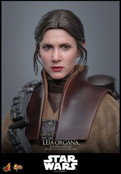 HOT TOYS - Star Wars Episode VI Movie Masterpiece Action Doll 1/6 Leia Organa (Boushh Disguise)
