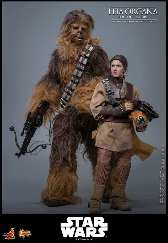 HOT TOYS - Star Wars Episode VI Movie Masterpiece Action Doll 1/6 Leia Organa (Boushh Disguise)