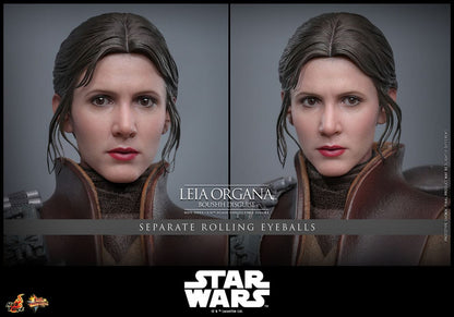 HOT TOYS - Star Wars Episode VI Movie Masterpiece Action Doll 1/6 Leia Organa (Boushh Disguise)