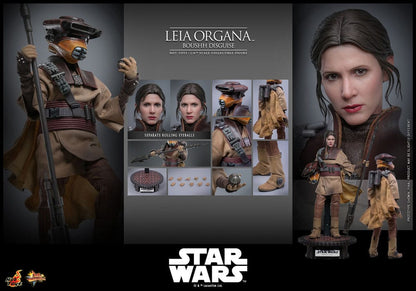 HOT TOYS - Star Wars Episode VI Movie Masterpiece Action Doll 1/6 Leia Organa (Boushh Disguise)