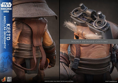 HOT TOYS - Star Wars: The Mandalorian & Grogu Life-Size Masterpiece Life-Size Figure Keeto (Anzellan Droidsmith)