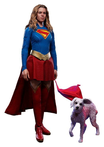 HOT TOYS - DC Comics Movie Masterpiece Action Figure Set Supergirl & Krypto