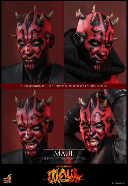 HOT TOYS - Star Wars: Maul - Shadow Lord Television Masterpiece Action Figure 1/6 Maul