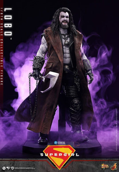 HOT TOYS - DC Comics Movie Masterpiece Action Figure 1/6 Lobo