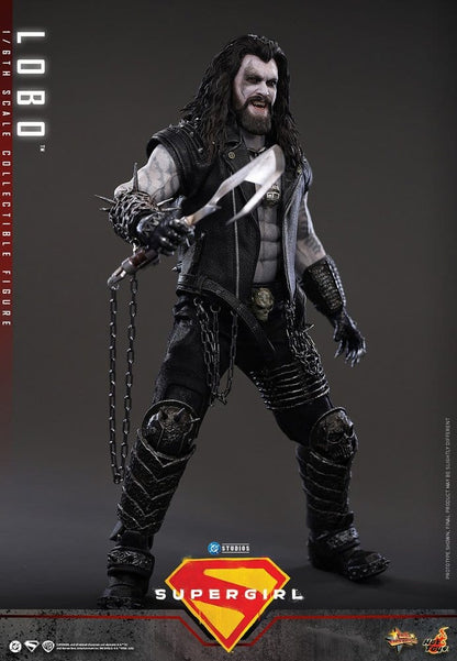 HOT TOYS - DC Comics Movie Masterpiece Action Figure 1/6 Lobo