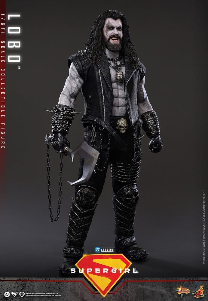 HOT TOYS - DC Comics Movie Masterpiece Action Figure 1/6 Lobo