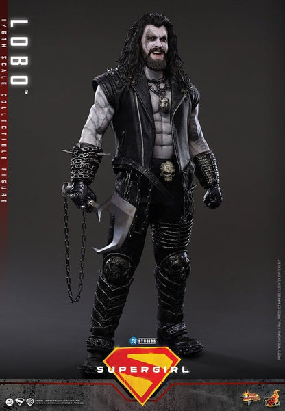 HOT TOYS - DC Comics Movie Masterpiece Action Figure 1/6 Lobo