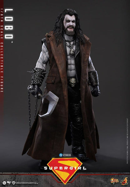 HOT TOYS - DC Comics Movie Masterpiece Action Figure 1/6 Lobo