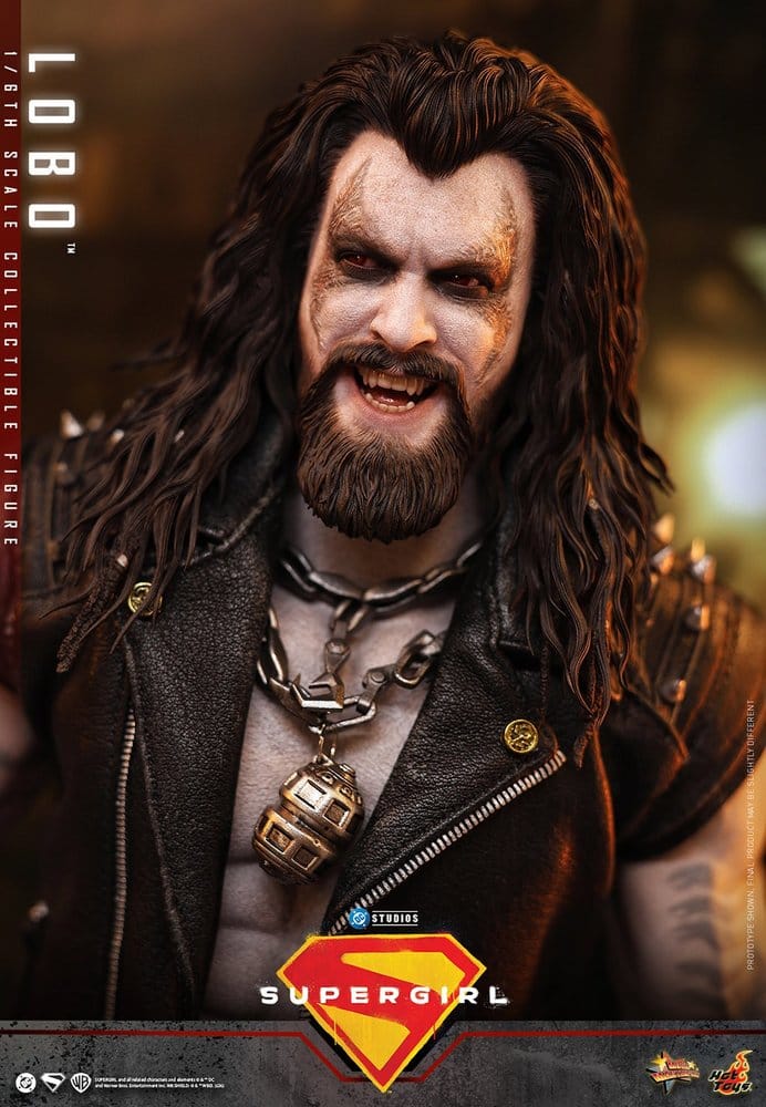 HOT TOYS - DC Comics Movie Masterpiece Action Figure 1/6 Lobo