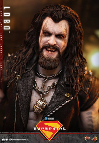 HOT TOYS - DC Comics Movie Masterpiece Action Figure 1/6 Lobo