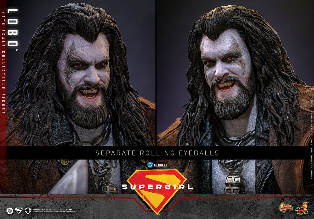 HOT TOYS - DC Comics Movie Masterpiece Action Figure 1/6 Lobo