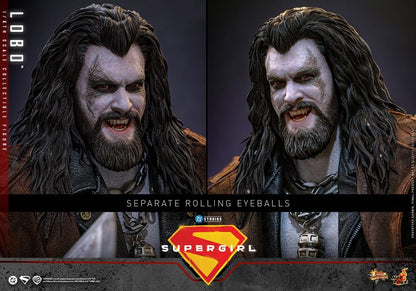 HOT TOYS - DC Comics Movie Masterpiece Action Figure 1/6 Lobo