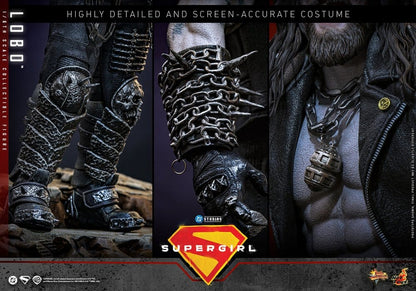 HOT TOYS - DC Comics Movie Masterpiece Action Figure 1/6 Lobo
