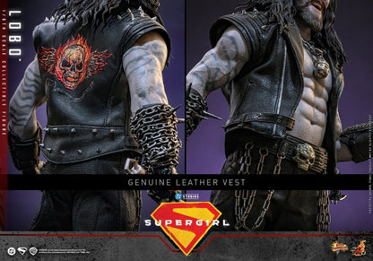 HOT TOYS - DC Comics Movie Masterpiece Action Figure 1/6 Lobo
