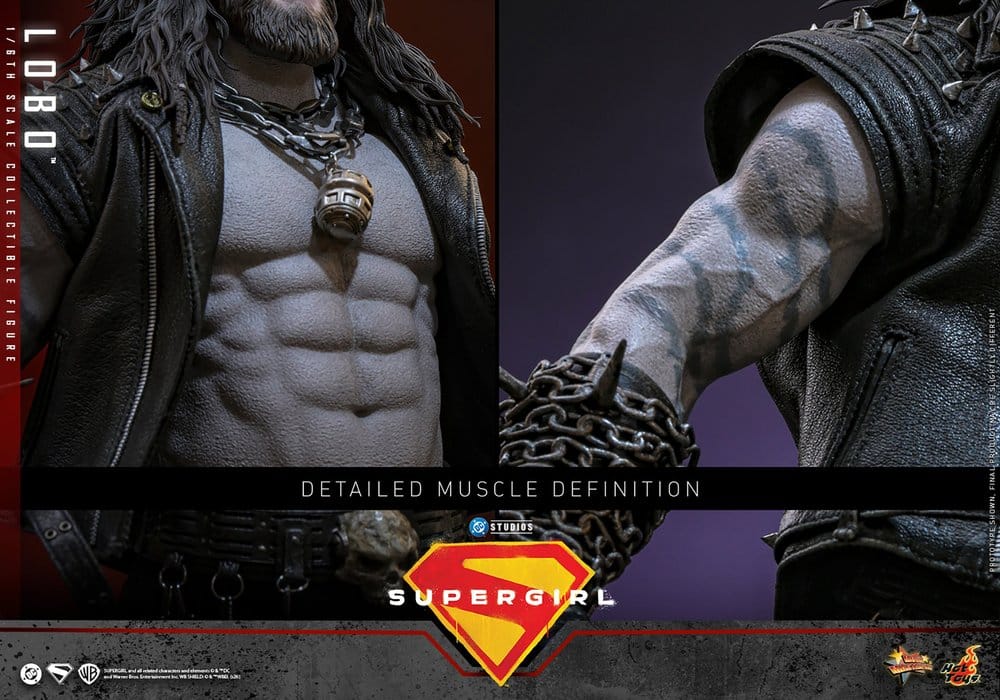 HOT TOYS - DC Comics Movie Masterpiece Action Figure 1/6 Lobo