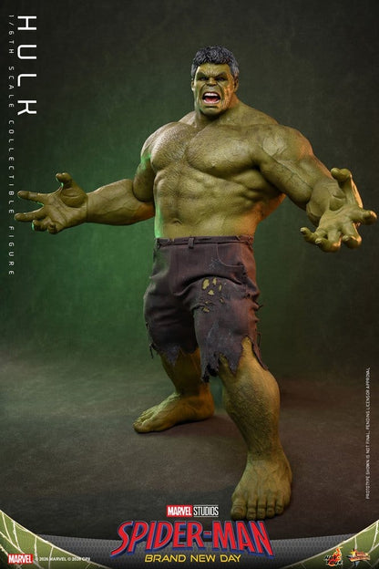 HOT TOYS - Marvel Action Figure 1/6 Hulk