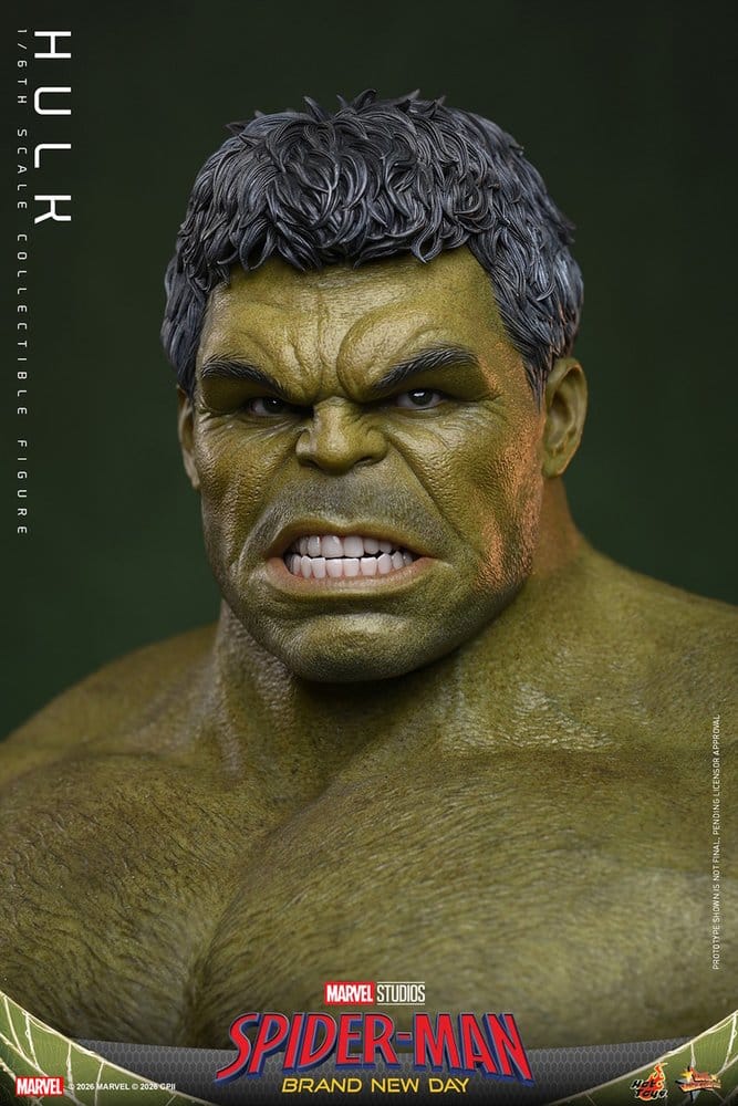 HOT TOYS - Marvel Action Figure 1/6 Hulk