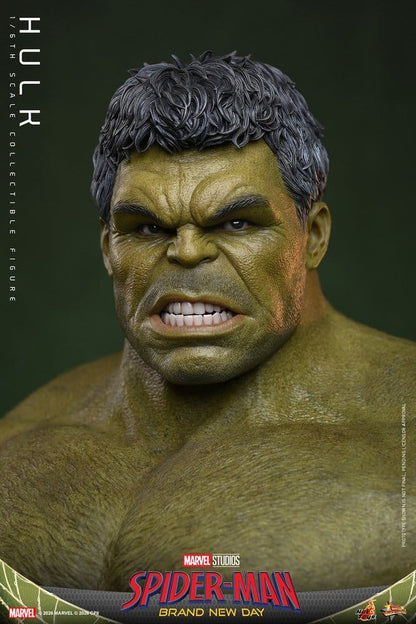 HOT TOYS - Marvel Action Figure 1/6 Hulk
