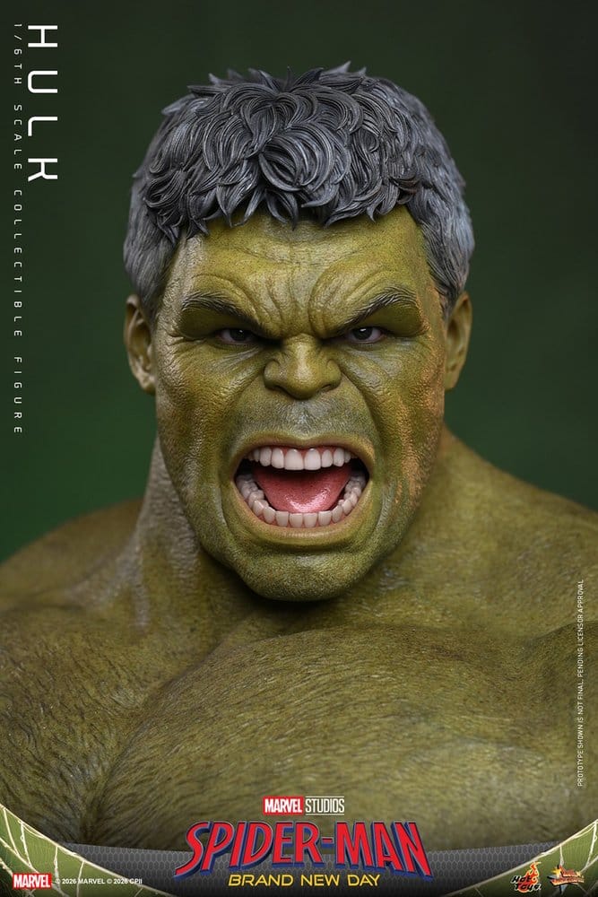 HOT TOYS - Marvel Action Figure 1/6 Hulk