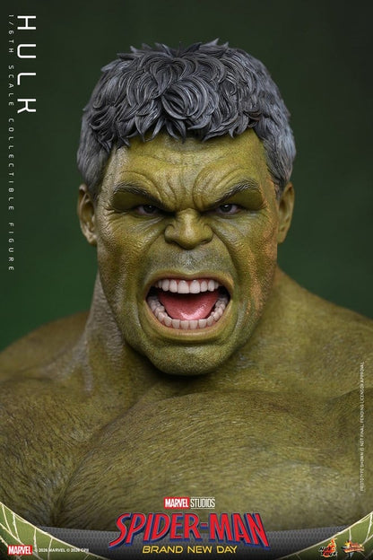 HOT TOYS - Marvel Action Figure 1/6 Hulk