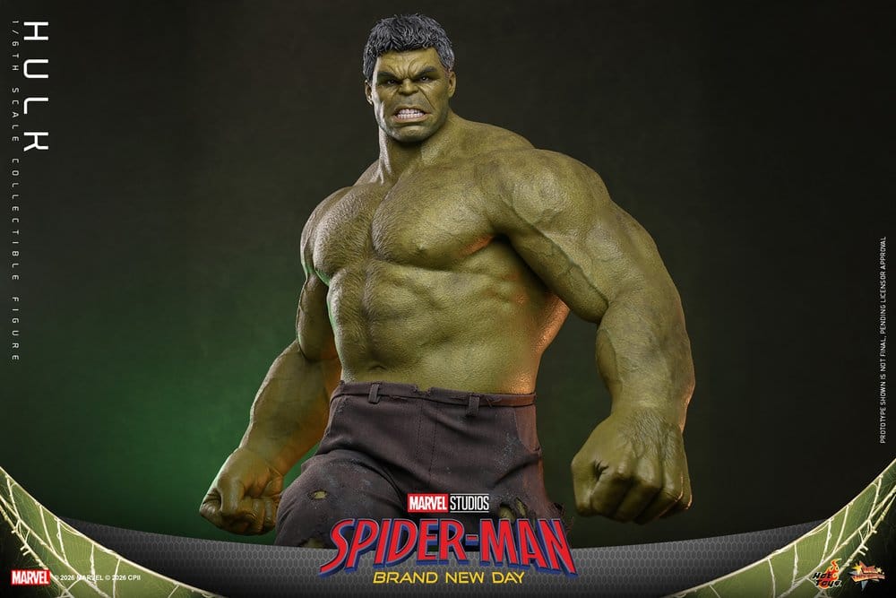 HOT TOYS - Marvel Action Figure 1/6 Hulk