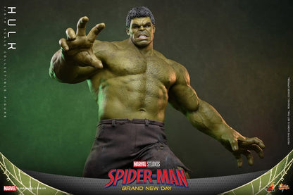 HOT TOYS - Marvel Action Figure 1/6 Hulk
