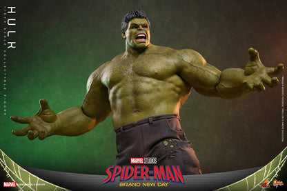 HOT TOYS - Marvel Action Figure 1/6 Hulk