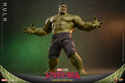 HOT TOYS - Marvel Action Figure 1/6 Hulk