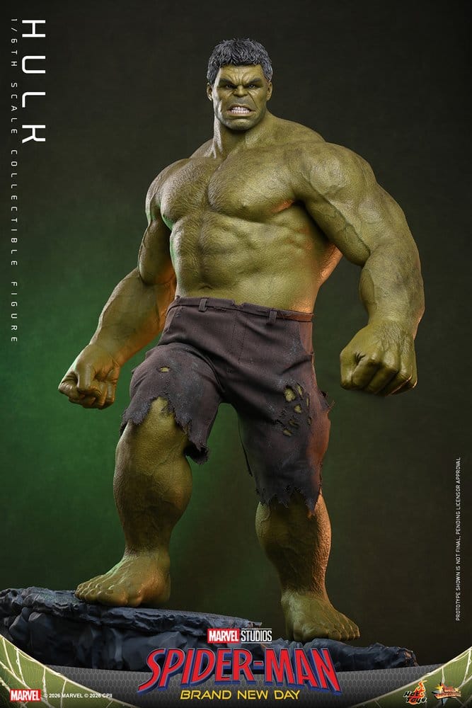 HOT TOYS - Marvel Action Figure 1/6 Hulk