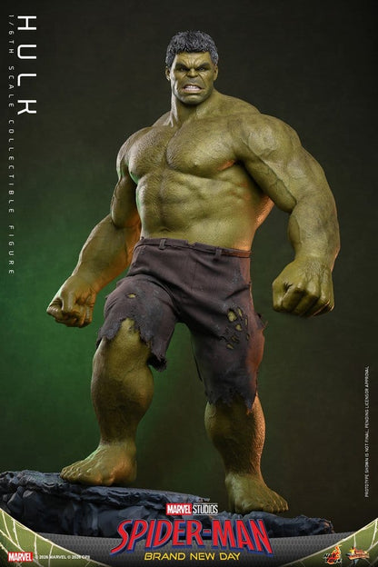 HOT TOYS - Marvel Action Figure 1/6 Hulk