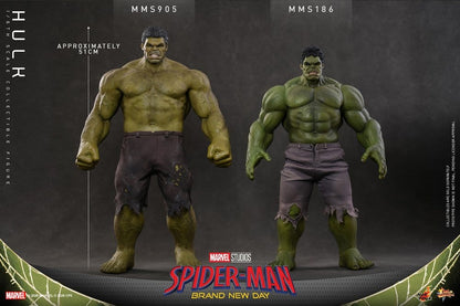 HOT TOYS - Marvel Action Figure 1/6 Hulk