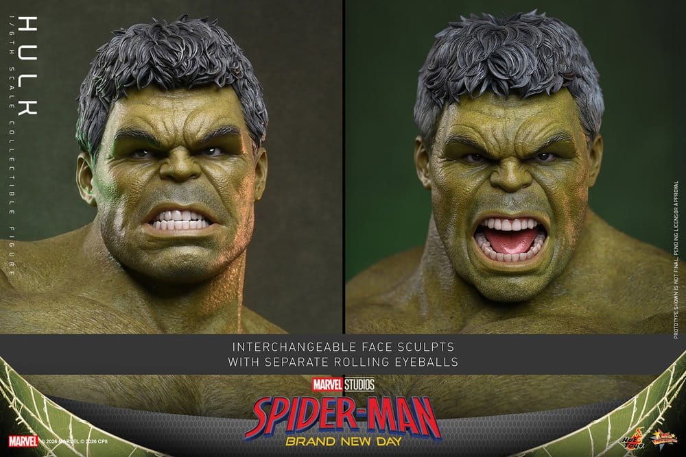 HOT TOYS - Marvel Action Figure 1/6 Hulk