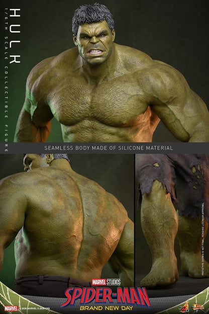 HOT TOYS - Marvel Action Figure 1/6 Hulk