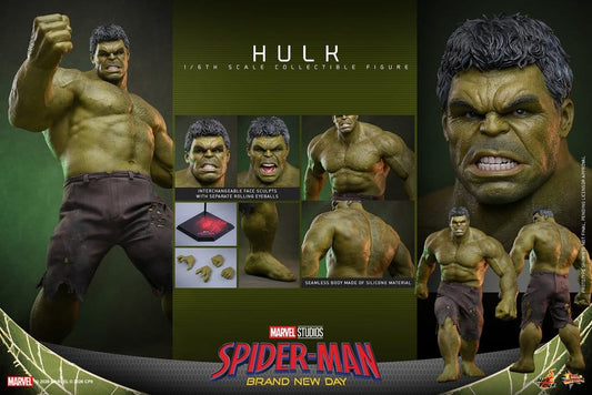 HOT TOYS - Marvel Action Figure 1/6 Hulk