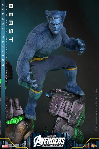 HOT TOYS - Marvel X-Men Movie Masterpiece Action Figure 1/6 Beast (Deluxe Version)